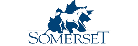 Somerset Flooring